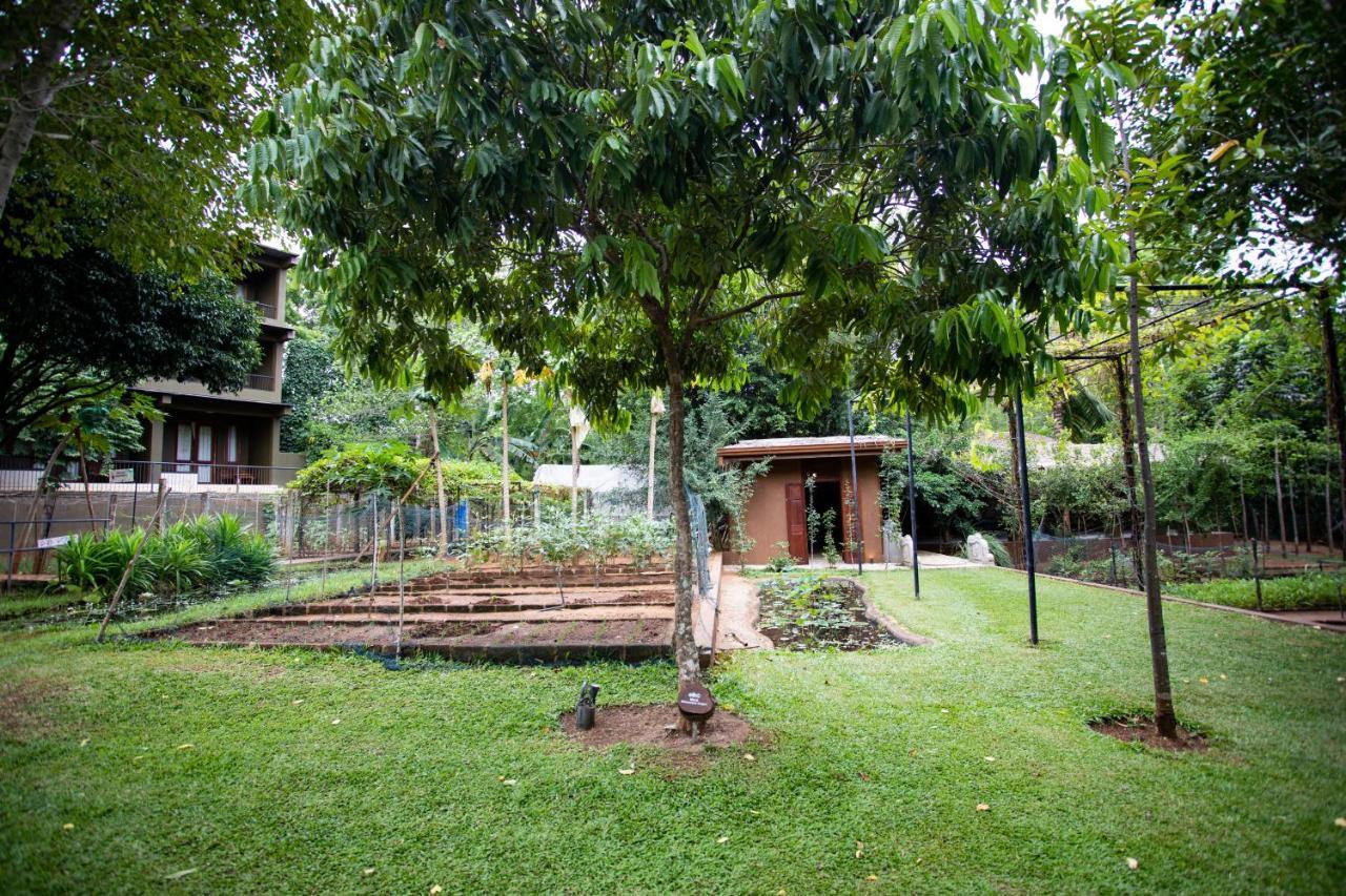 Kalu'S Hideaway Udawalawe Hotel Exterior photo